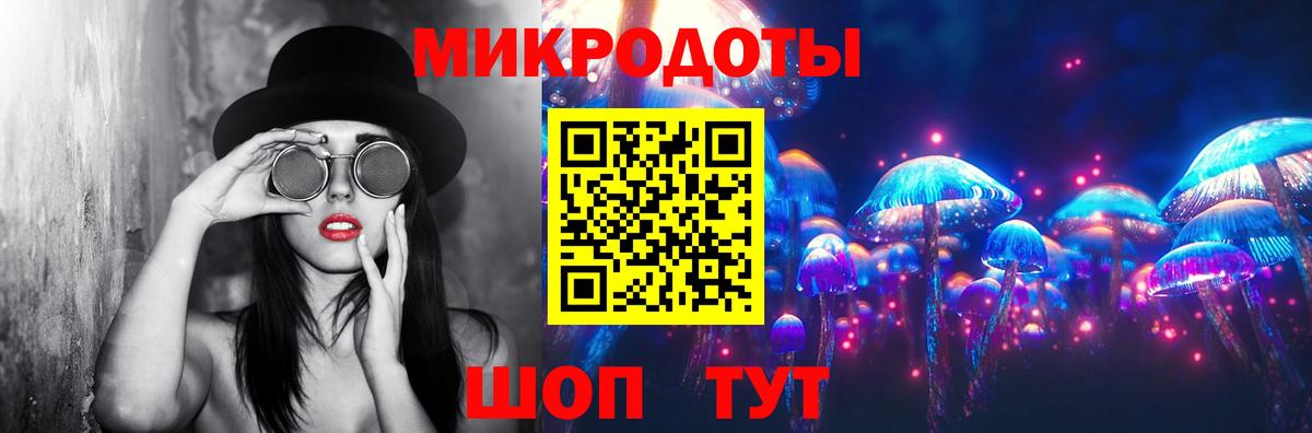 Галлюциногенные грибы MAGIC MUSHROOMS  Вход с VPN  Россия 